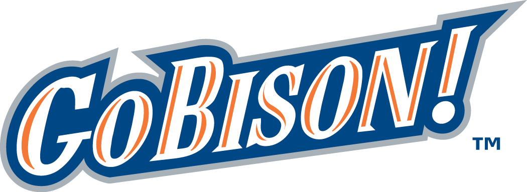 Bucknell Bison 2002-Pres Wordmark Logo t shirts iron on transfers v3